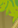 Image:Buch_28.png