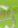 Image:S_du_chasseur_17.png
