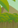 Image:appel12.png