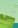 Image:1ers_soins_11.png