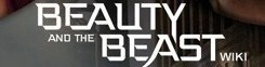 Beauty and the Beast (CW Show) Wiki