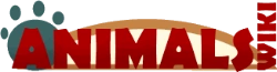 Animal Database