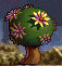 Laburnum.png