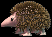 C3hedgehog