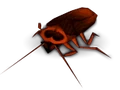 Cockroach.png