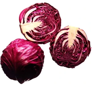 Blaukraut