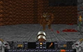 Heretic-Weredragon.png