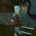 High Elven Warrior female.jpg