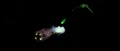 Merchantman attacked.jpg