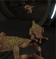 GIZKA