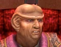 Omag EF2.jpg