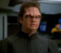 Sklar.jpg