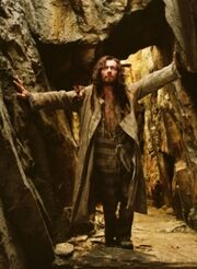 Sirius poa