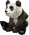 PandaSit.png