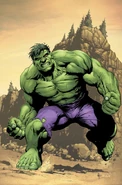 Hulk 003