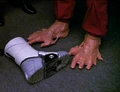 Dax's feet.jpg