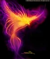 Phoenix.jpg