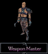 Weapon Master
