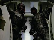 Swarm
