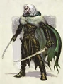 Drizzt Pic 1