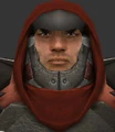 Reborntwin.jpg
