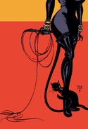 Catwoman 006