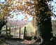 Orchardwalk1.jpg