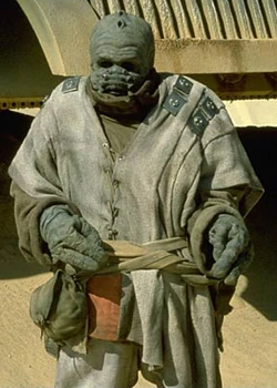Skr