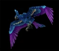 HyacinthMacaw.png