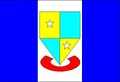 Bradflag.JPG