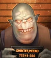 Miko concept.jpg