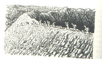 Deeplough.jpg