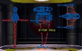 BWanatomy.gif