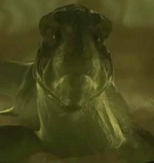 Xindi-Aquatic