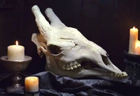 Xindi-Avian.jpg