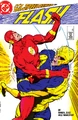 Flash 6