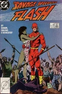 Flash 10