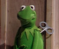 Robotkermit.jpg