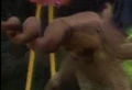 Thumbnail for version as of 22:18, February 5, 2006