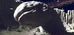 Babosa Espacial