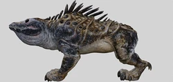Massiff