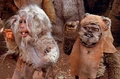 Teek and wicket.jpg