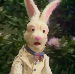 Whiterabbit