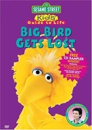 Big bird gets lost