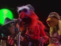 Thumbnail for version as of 17:13, March 19, 2006