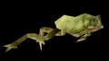 TreeFrog.png