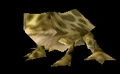 WoodFrog.png