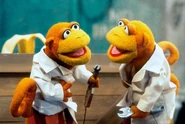 Joeyanddaveymonkey