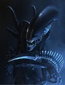 AVP Xenomorph