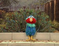Elmopeacock